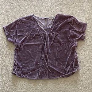Madewell Velvet Top